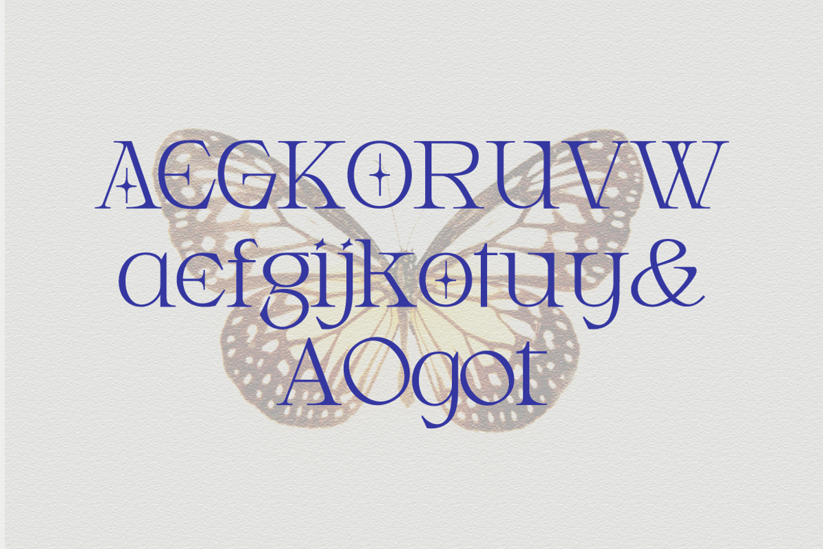 Armeston - Modern Serif, a Serif Font by tebaltipislab (Photo 8 of 15)