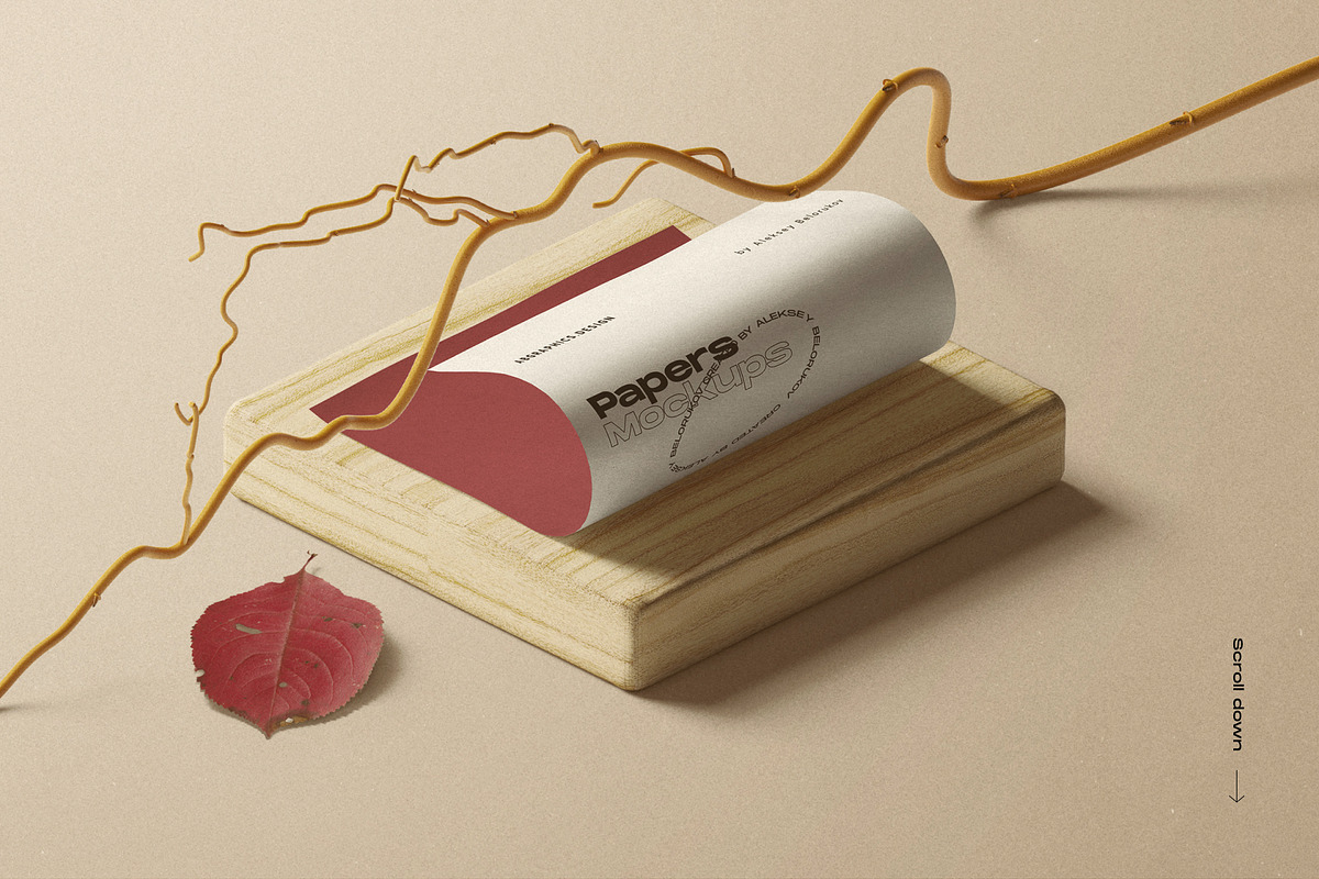 50%OFF The Scene Creator 2-isometric, a Packaging Mockup by Creatoom (Photo 6 of 34)