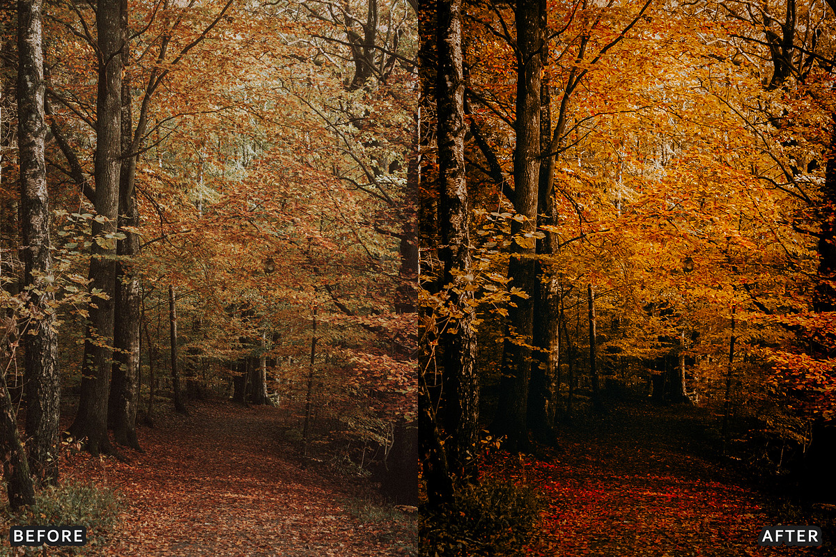 Misty Autumn Forest Presets, a Preset Add-On by AAA Presets (Photo 10 of 13)
