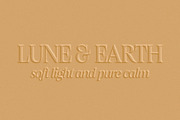 Figo Shiftz - Editorial Serif & Sans, a Serif Font by Propertype (Thumbnail 16 of 26)