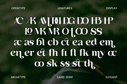 Basken Typeface, a Sans Serif Font by Megatype (Thumbnail 10 of 11)