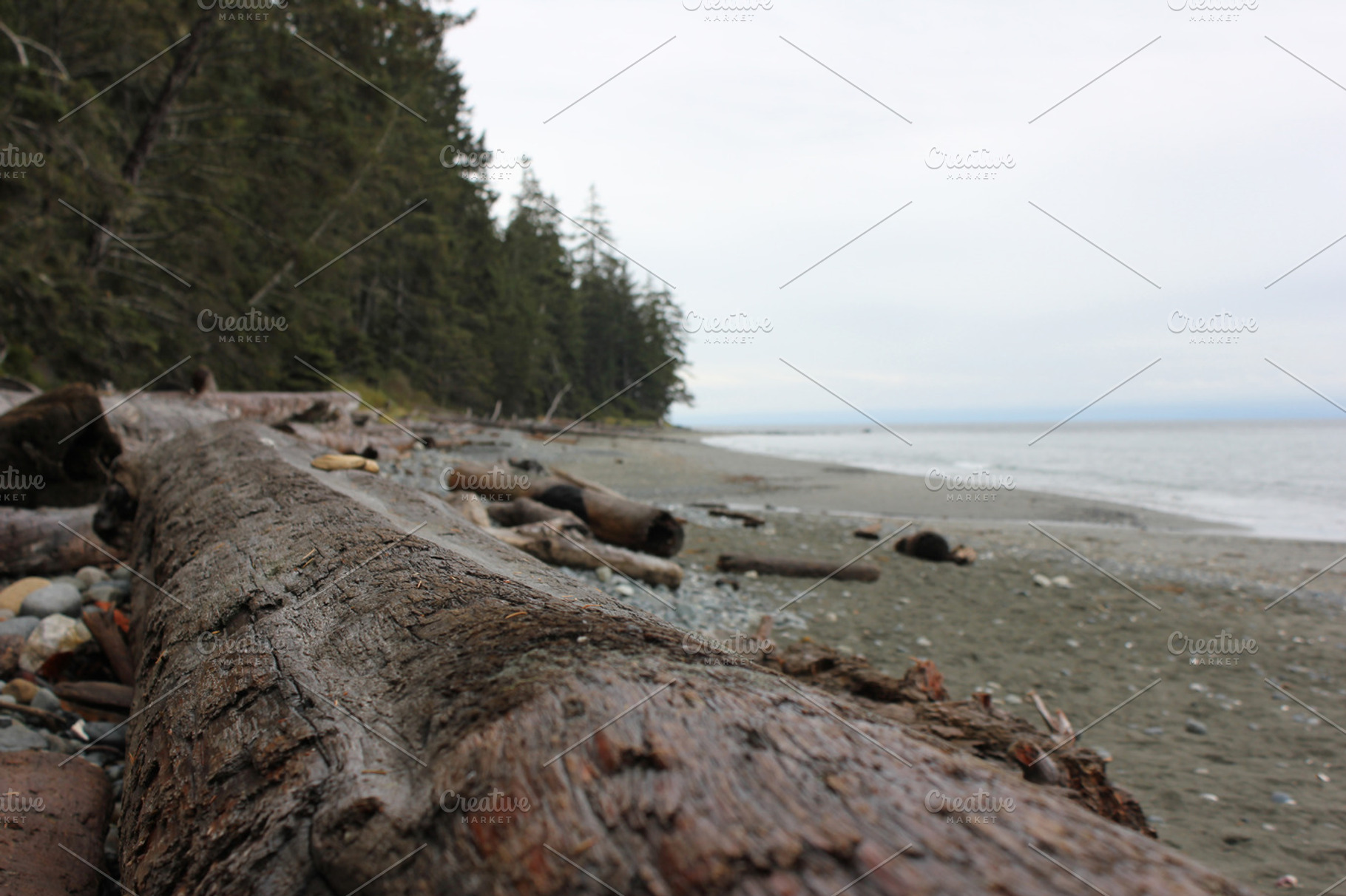 Victoria Bc Beach