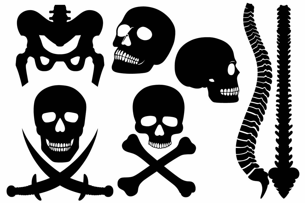 Skeleton, human bones, a Healthcare Illustration by LineworkStock (Photo 3 of 3)
