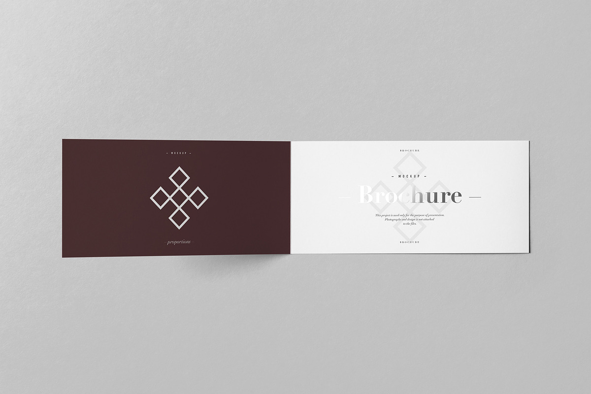 Bi-Fold DL Horizontal Brochure 2, an Advertising Mockup by Yogurt86 (Photo 11 of 14)