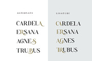 Bezoria - Elegant Serif Font, a Sans Serif Font by RHD Creative Studio (Thumbnail 2 of 9)