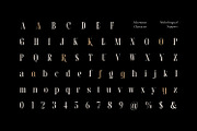 Biens Dailymo - Chic Display Serif, a Serif Font by Imoodev (Thumbnail 5 of 5)