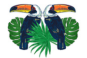 TOUCAN, an Animal Illustration by Tanya Akhmett (Thumbnail 8 of 11)