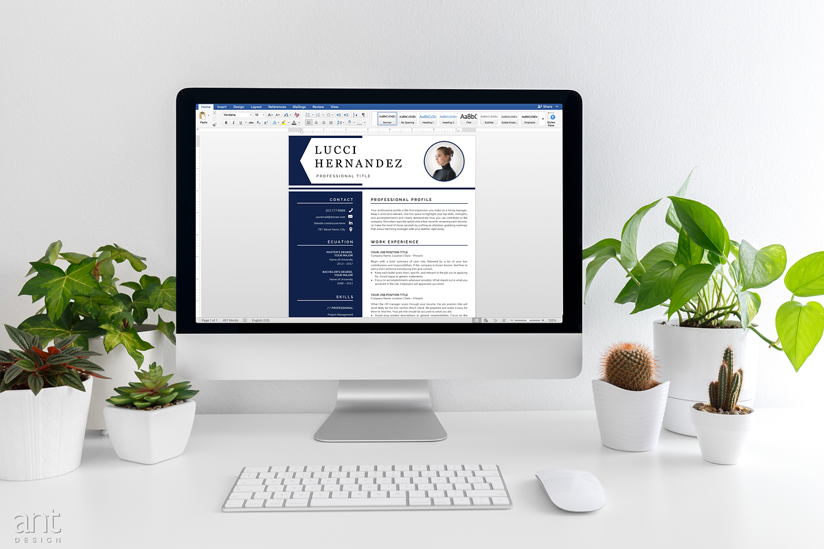 Modern Resume Template - The Lucci preview 6