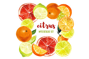 Set of watercolor citrus fruits, an Illustration by Elena Dorosh