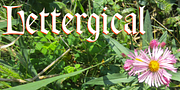 Lettergical, a Font by Ingrimayne Type (Thumbnail 1 of 5)