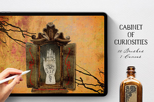 Procreate Cabinet Of Curiosities