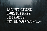 Treads Mystic - Display Font, a Serif Font by ivan_artnivora (Thumbnail 4 of 4)