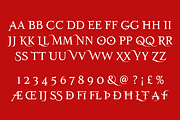 SalamancaTF, a Serif Font by TypeFaith Fonts (Thumbnail 8 of 12)