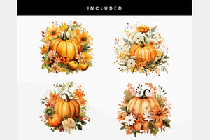 Orange Pumpkins Flowers PNG Clipart