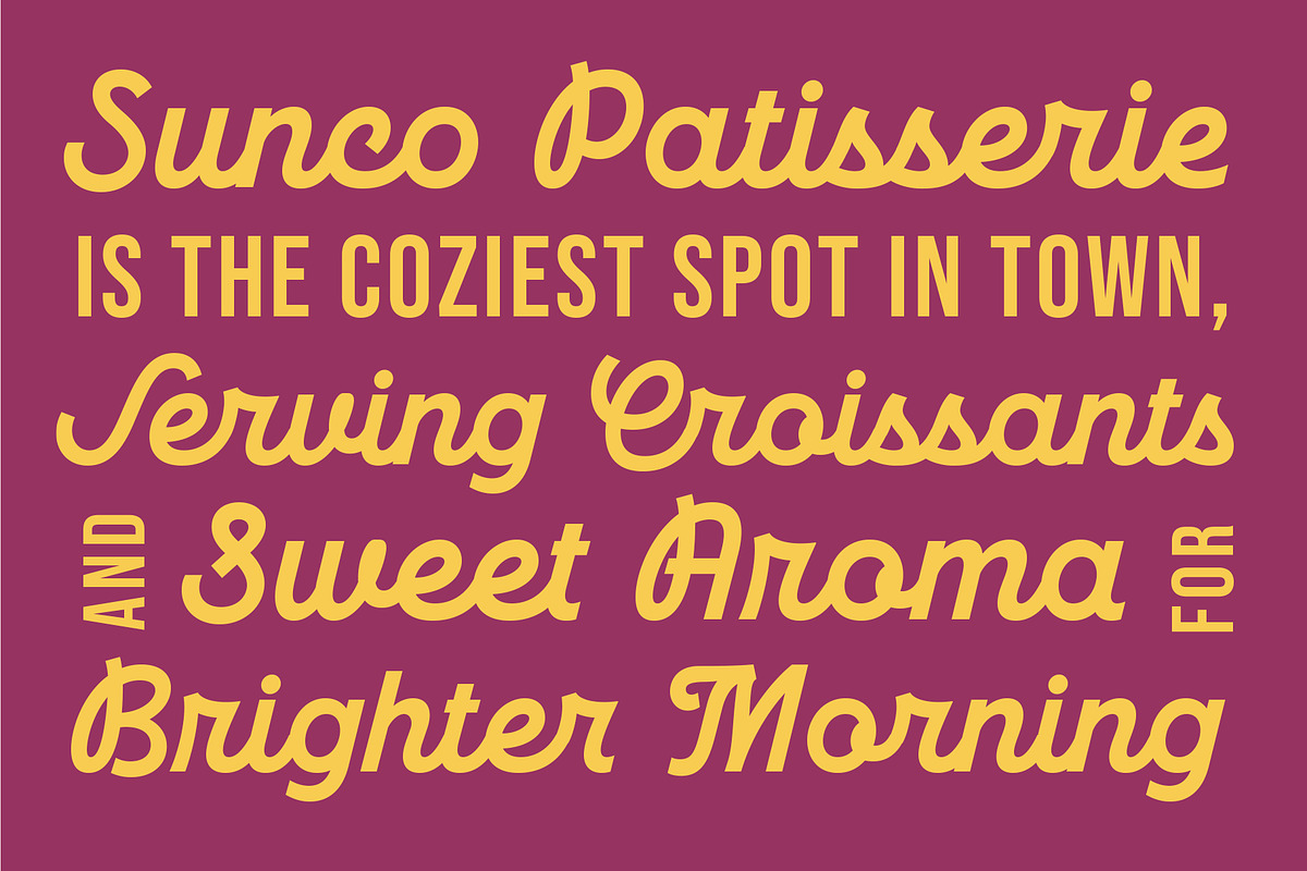 TNSC Phillso - Monoline Script, a Script Font by The Native Saint Club (Photo 13 of 14)