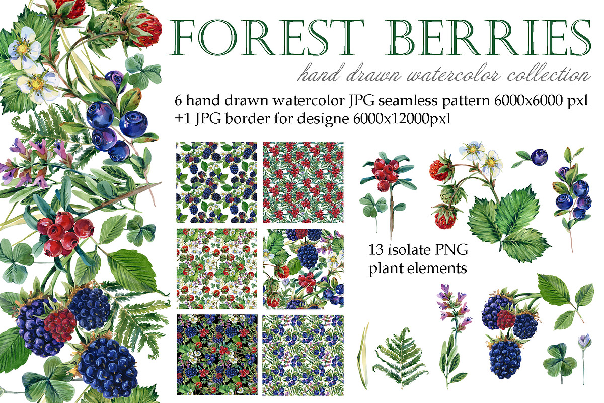 Watercolor Forest berryes, a Food Illustration by FineArt (Photo 1 of 8)