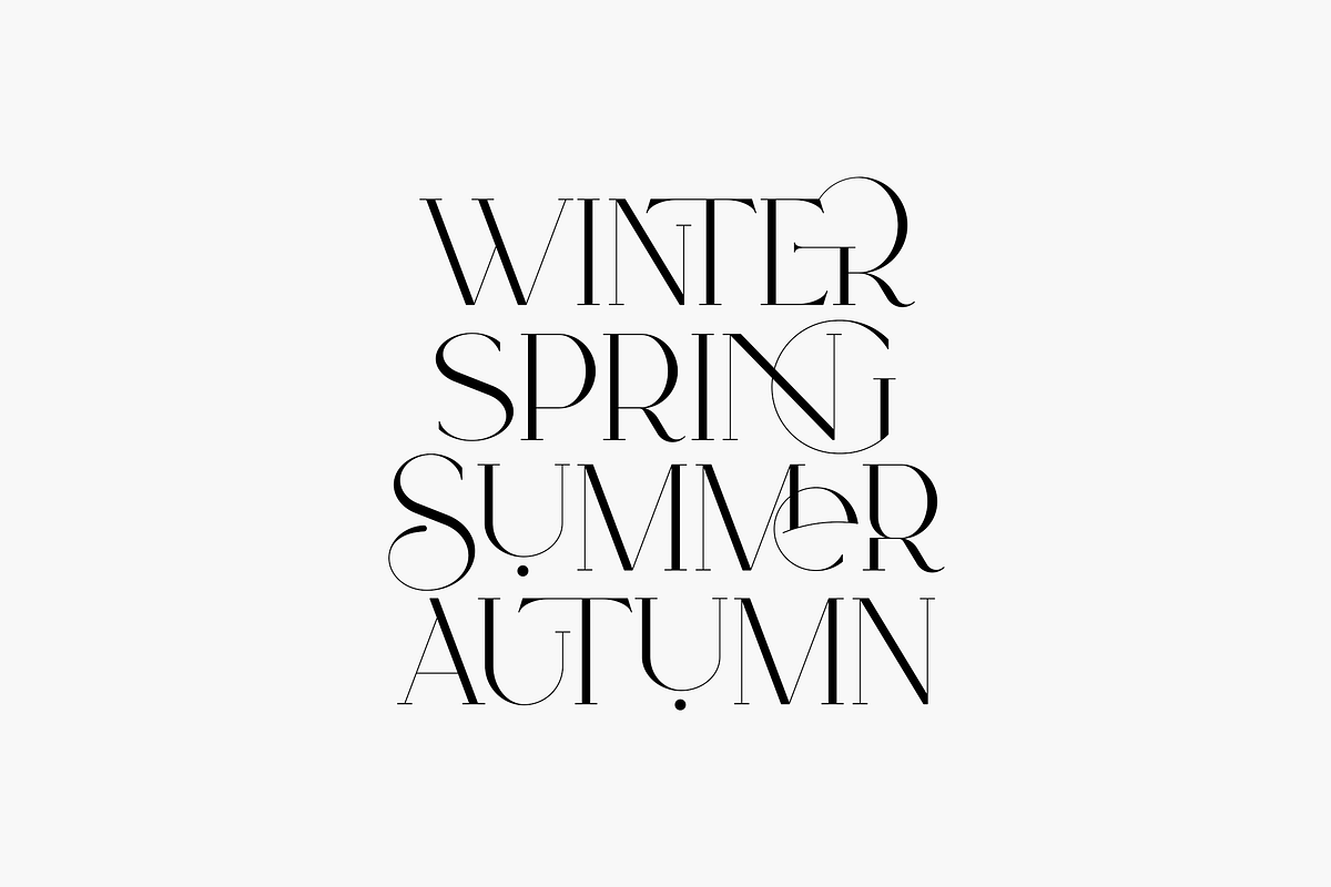 SALE! Type Maestro -  serif font, a Serif Font by VP Fonts (Photo 6 of 25)