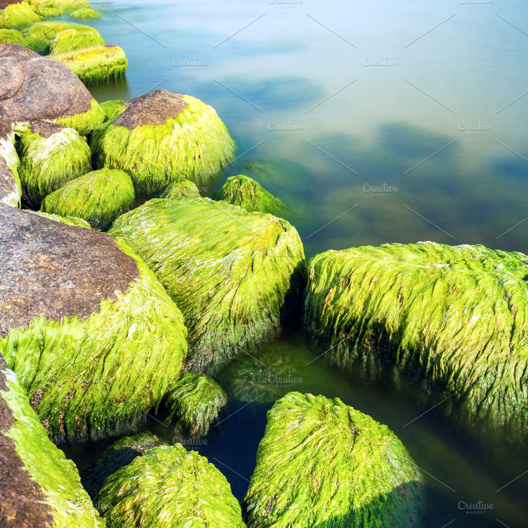Mossy seashore stones, a Nature Photo by BOOCYS