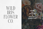 Elantrae & Velto – Modern Font Duo, a Serif Font by Only Fonts (Thumbnail 3 of 10)