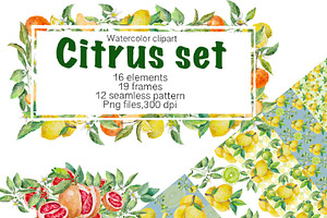 Citrus set, Watercolor clipart.