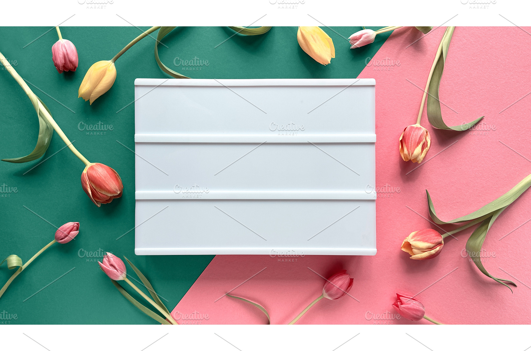 White rectangular board surrounded, a Photo by tilialucida