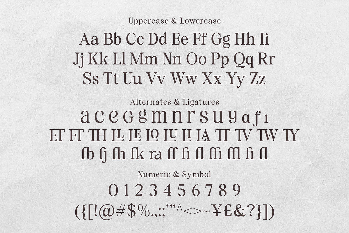 Surfside Paradise - Classy Serif, a Serif Font by Shakira Studio (Photo 17 of 18)