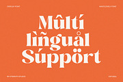 Wast Lovely Stylish Retro, a Serif Font by Eternity Studio (Thumbnail 10 of 10)