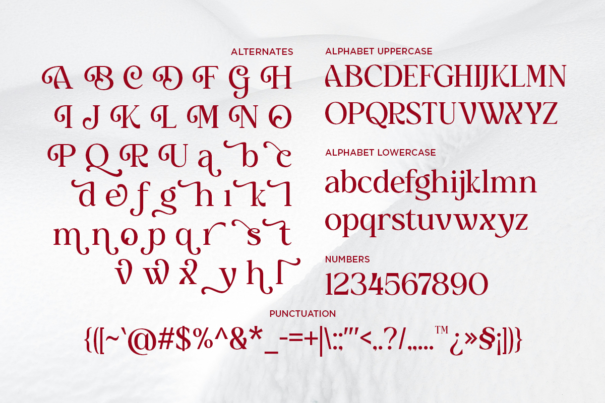 Delvira - Stylish Elegant Serif Font, a Serif Font by Font Liner (Photo 10 of 10)
