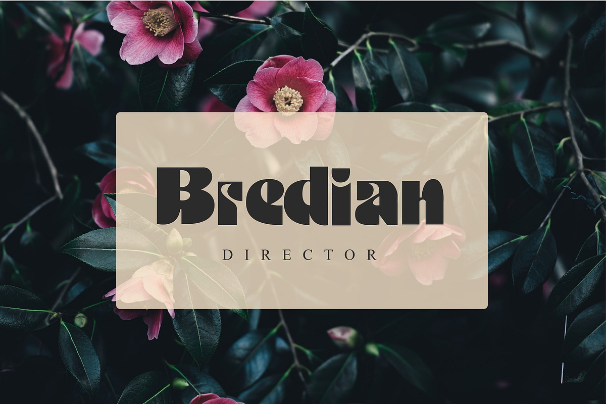 Kalinda Font, a Serif Font by Authentic Studio (Photo 7 of 7)