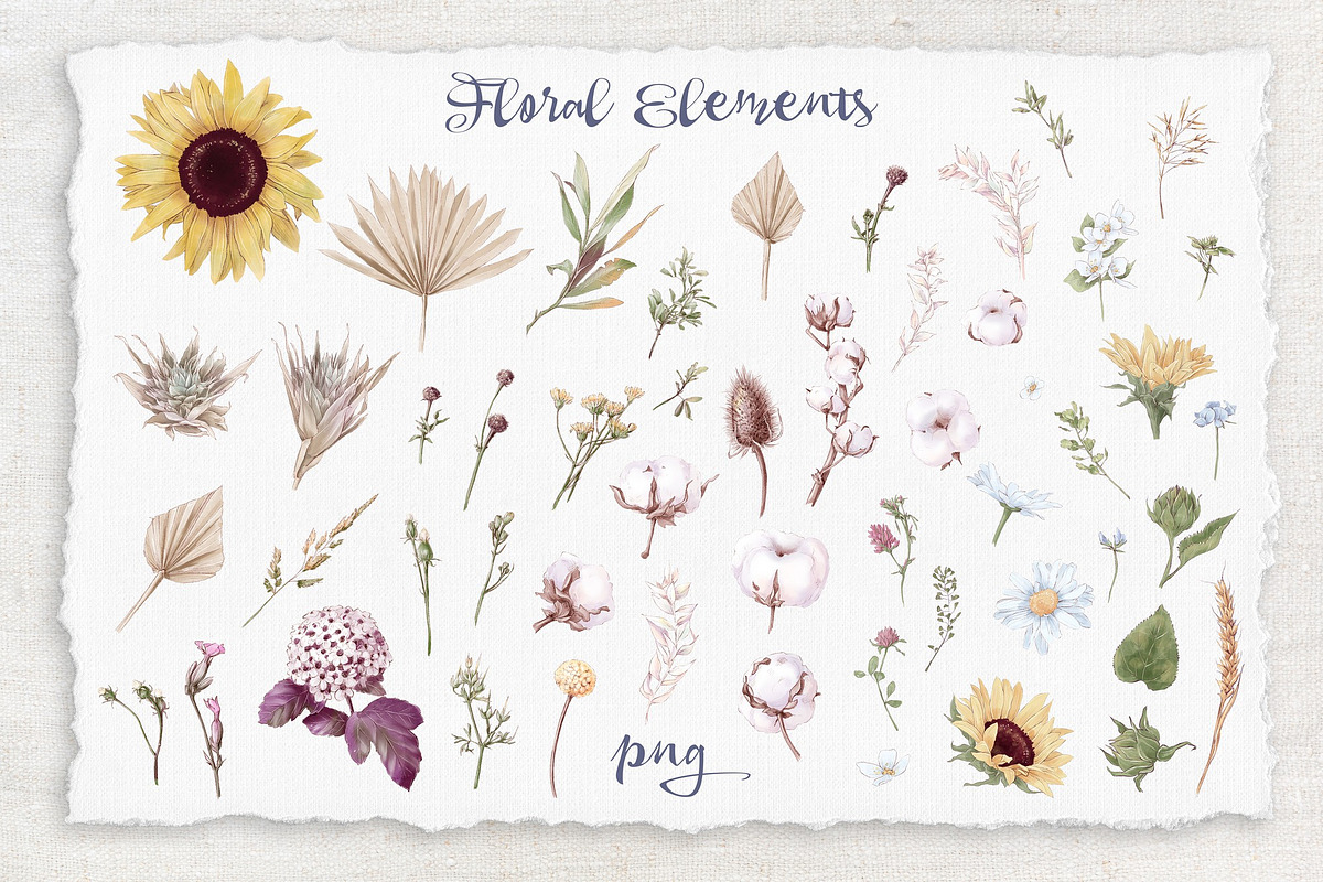 Watercolor Sunflowers and Cotton, an Illustration by Yuliya Art (Photo 20 of 24)