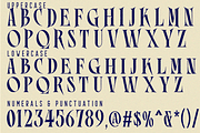 ECONOMIC PROMOTE FONT, a Serif Font by 177Studio (Thumbnail 8 of 8)