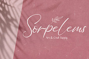 Bellamy Signature - Handwritten Font, a Script Font by StringLabs (Thumbnail 5 of 13)