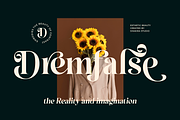 Esthetic Beauty - Elegant Modern, a Serif Font by Shakira Studio (Thumbnail 3 of 10)