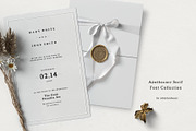 Apothecary Serif Font Collection, a Serif Font by pixelcolours (Thumbnail 10 of 14)