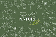 Botanical Line Art Illustrations V1, a Texture Illustration by Kaya Fonts (Thumbnail 1 of 9)