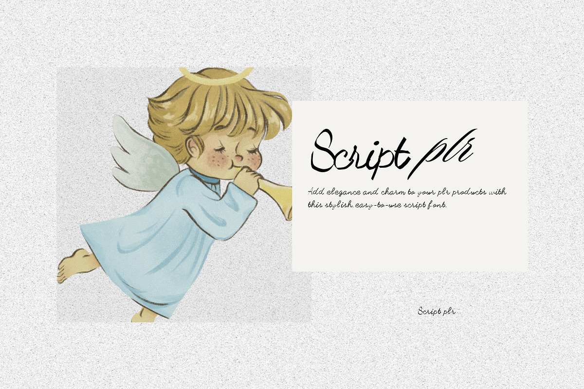 Script plr – Elegant Handcrafted, a Handwritten Font by adenpinkstore (Photo 4 of 4)