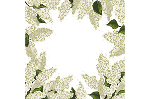 Fresh white lilac flowers frame, an Object Illustration by Toltemara