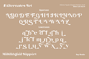 Dilema Figular - Elegant Modern Font, a Serif Font by Say Studio (Thumbnail 11 of 11)