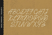 Rincon Script Typeface, a Script Font by NienowBrand (Thumbnail 3 of 5)
