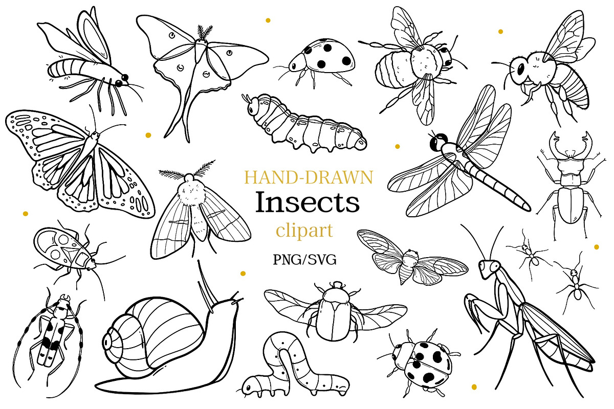 Insects and Bugs SVG PNG Bundle, an Animal Illustration by ArtGiftsStudio (Photo 1 of 5)
