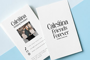 Stylish Avengers Serif Family, a Serif Font by moriztype (Thumbnail 9 of 13)