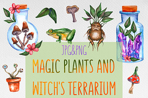 Magic plants and witch's terrariums