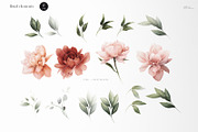 Peonies - floral collection, an Illustration by ollalya (Thumbnail 6 of 7)