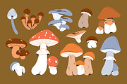 Autumn mushrooms, forest fungi set, a Food Illustration by Good Studio (Thumbnail 3 of 6)
