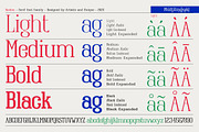 Raiden - Serif font family, a Serif Font by Artistic & Unique (Thumbnail 2 of 13)