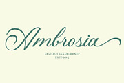 Histogram Script Font, a Script Font by Arendxstudio (Thumbnail 4 of 8)