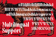 Tieldsa Bold Serif Display Font, a Serif Font by timelesstype.co (Thumbnail 19 of 20)