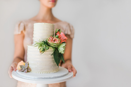 Blush Cake - Premium Stock Photo