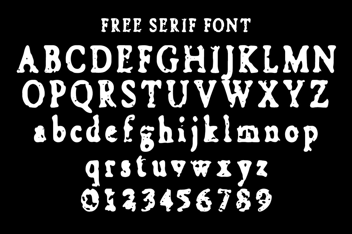 Violath typeface - Bonus Serif Font, a Font by HeyFonts (Photo 10 of 10)