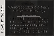 Peachy Font Duo, a Serif Font by GlitzyGrapix (Thumbnail 21 of 21)